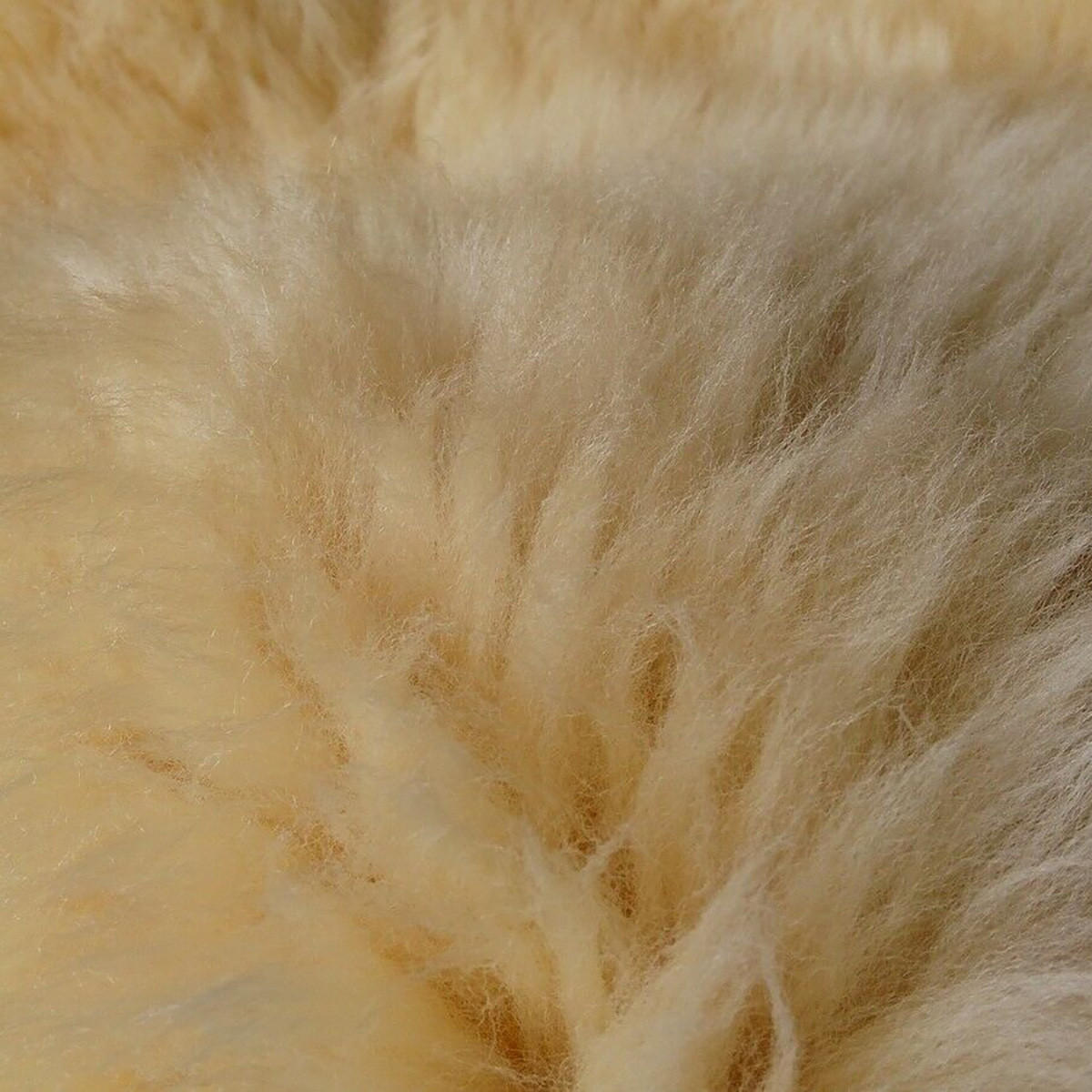 TEPPICH Baby Lammfell medizinisch gegerbt langflorig 110 cm - Beige/Goldfarben, Fell (65/110cm) - Provellus