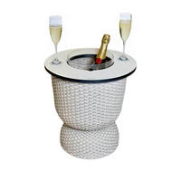 BEISTELLTISCH MIT ACRYL-KÜHLER Paris Champagner 43 cm - Champagner, Kunststoff (41/41/43cm) - COOTAB Cooler Table