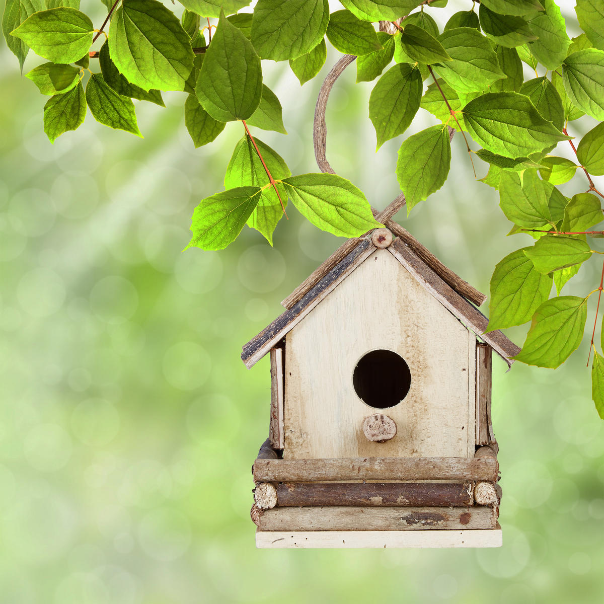 VOGELHAUS Deko - Braun, Holz (18/32/14.5cm) - Relaxdays