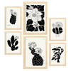 POSTER Set Mit 6 In Schwarzer Tinte Kaktus A3 & A4 Rahmen Aus Hellem Holz - Beige, Papier (29/3cm) - Nacnic