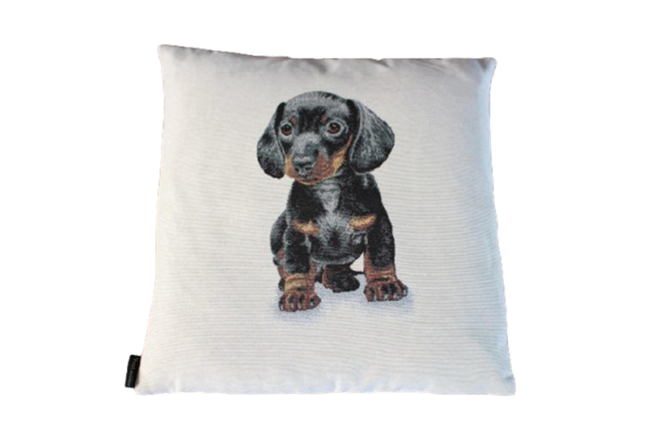 KISSENHÜLLE DACKELKINDER - Schwarz, Textil (45/45cm) - Yve! decoration