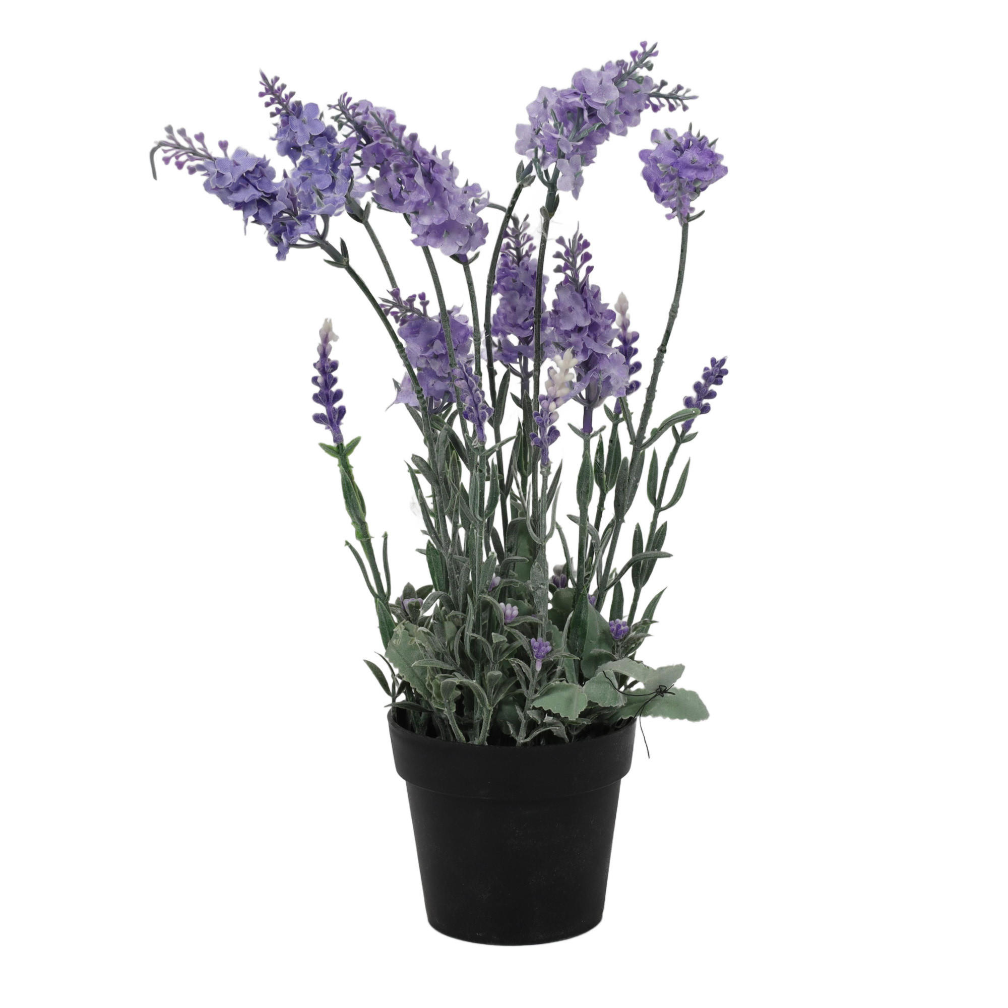 LAVENDEL im Topf 15/15/40 cm - Multicolor, Kunststoff (40cm) - Home Styling Collection
