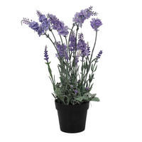LAVENDEL im Topf 15/15/40 cm - Multicolor, Kunststoff (40cm) - Home Styling Collection