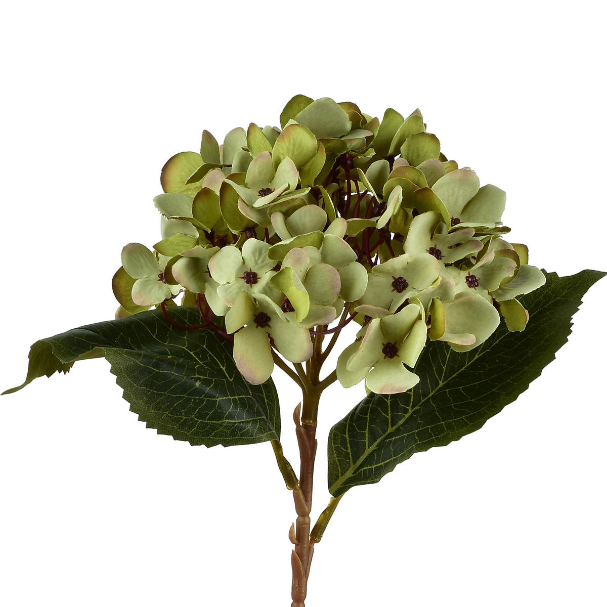 KUNSTBLUME Viridis Grün 17x17x47 cm Kunststoff - Grün, Kunststoff (47cm) - Mondex