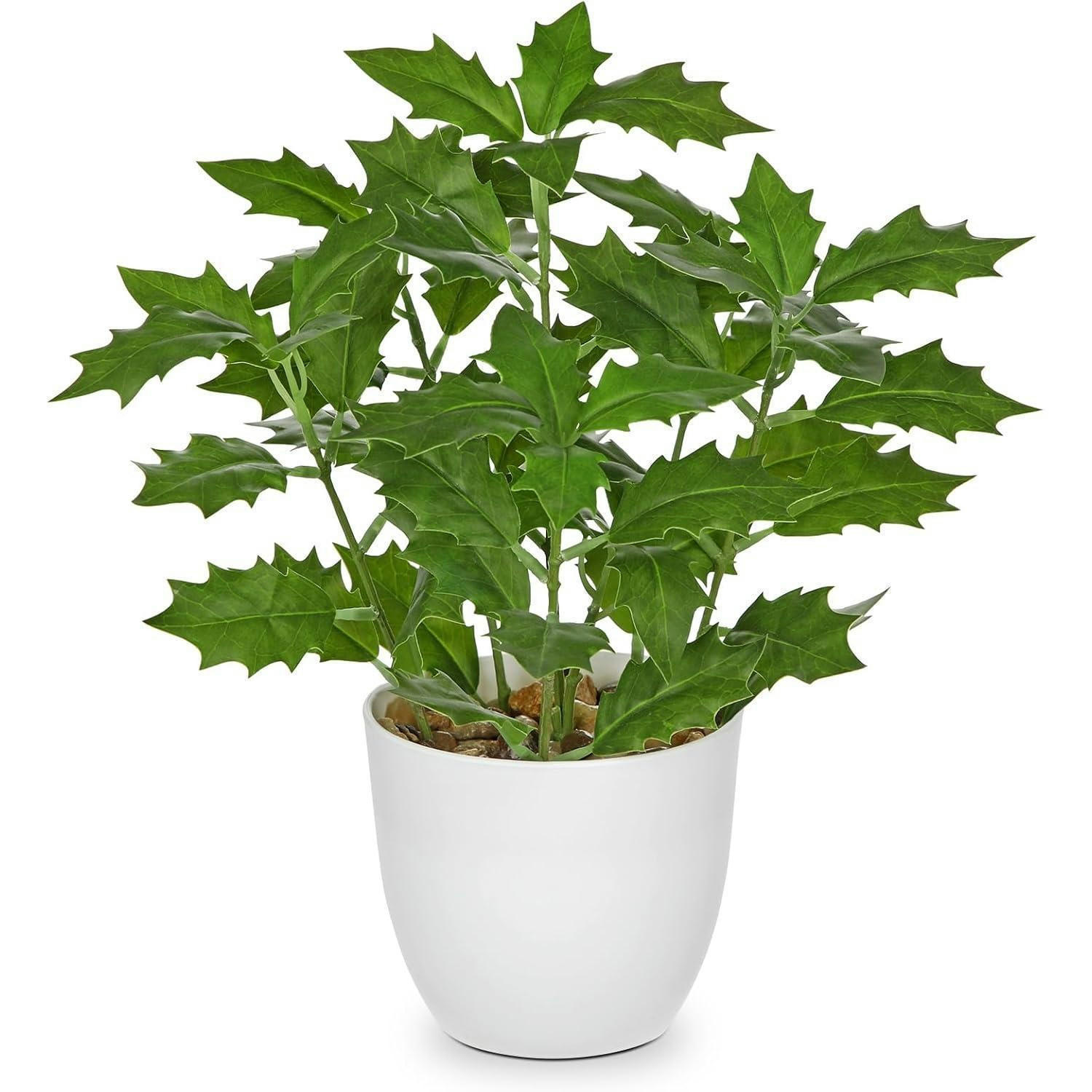 KUNSTPFLANZE Ficus 25 cm - Grün, Kunststoff (25cm)