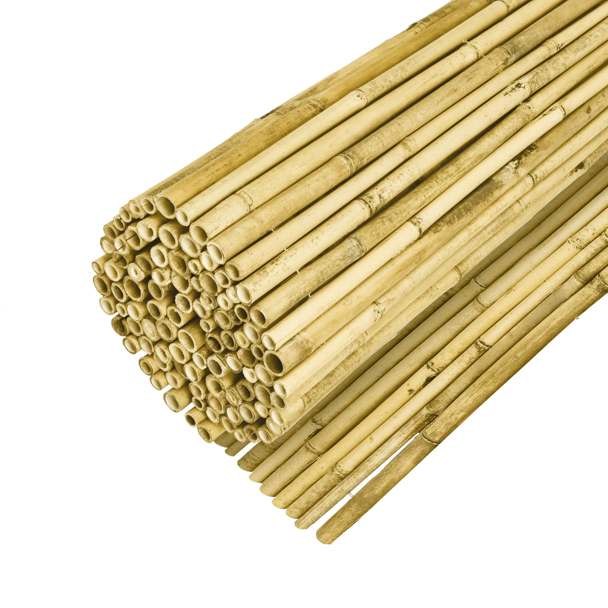 SICHTSCHUTZZAUN SolVision B89 200/250 cm Bambus Hell - Weiß, Naturmaterialien (250/200cm) - Sol Royal