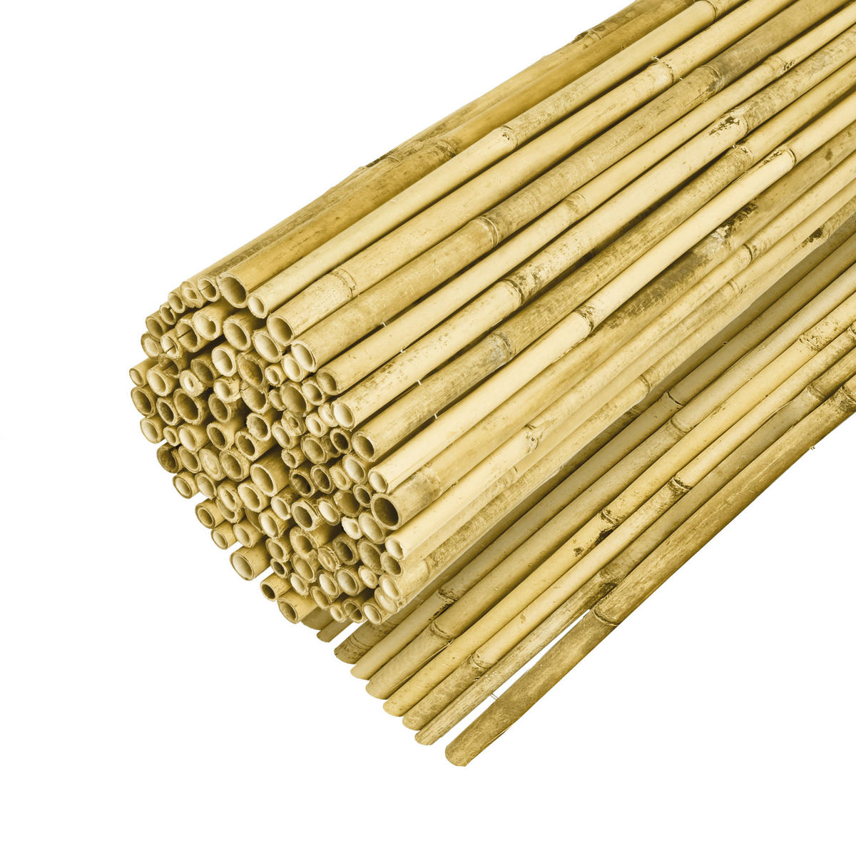 SICHTSCHUTZZAUN SolVision B89 100/250 cm Bambus Hell - Weiß, Naturmaterialien (250/100cm) - Sol Royal