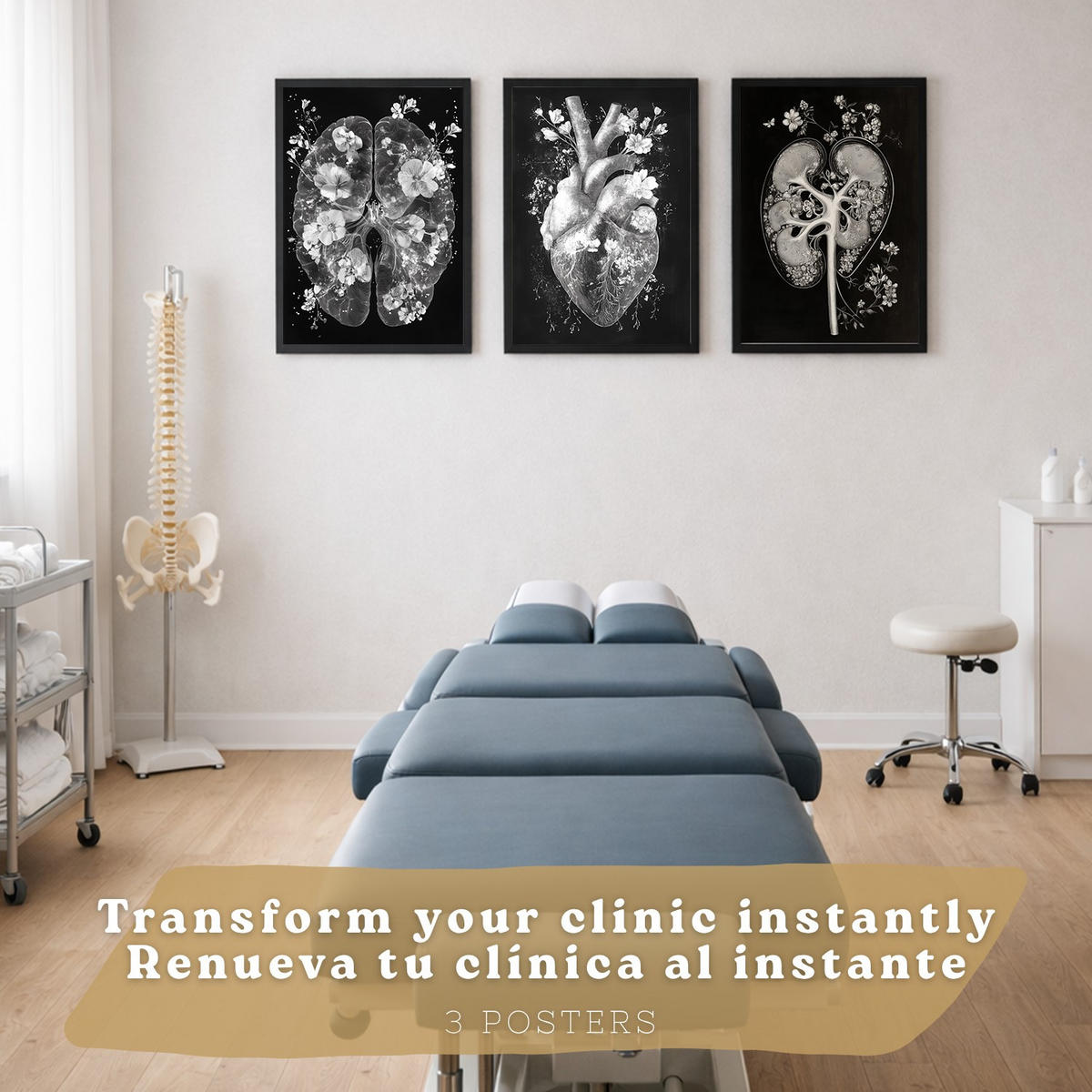 POSTER Set aus 3 Anatomie Drucke und Wandbilder mit Inneren Organen Gehirn Herz Nieren Minimalistisches Schwarz Weiß Design Größe Schwarzer Rahmen A3 - Schwarz, Papier (29.7/42/3cm) - Nacnic