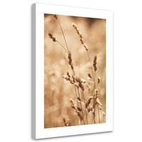WANDBILD gras natur wiese - Beige, Textil (40/60cm) - Feeby