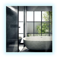 LED-SPIEGEL 50x50 cm Rechteckig Kaltweiß 6000K - Transparent, Glas (50/50/0.4cm) - Wallfluent