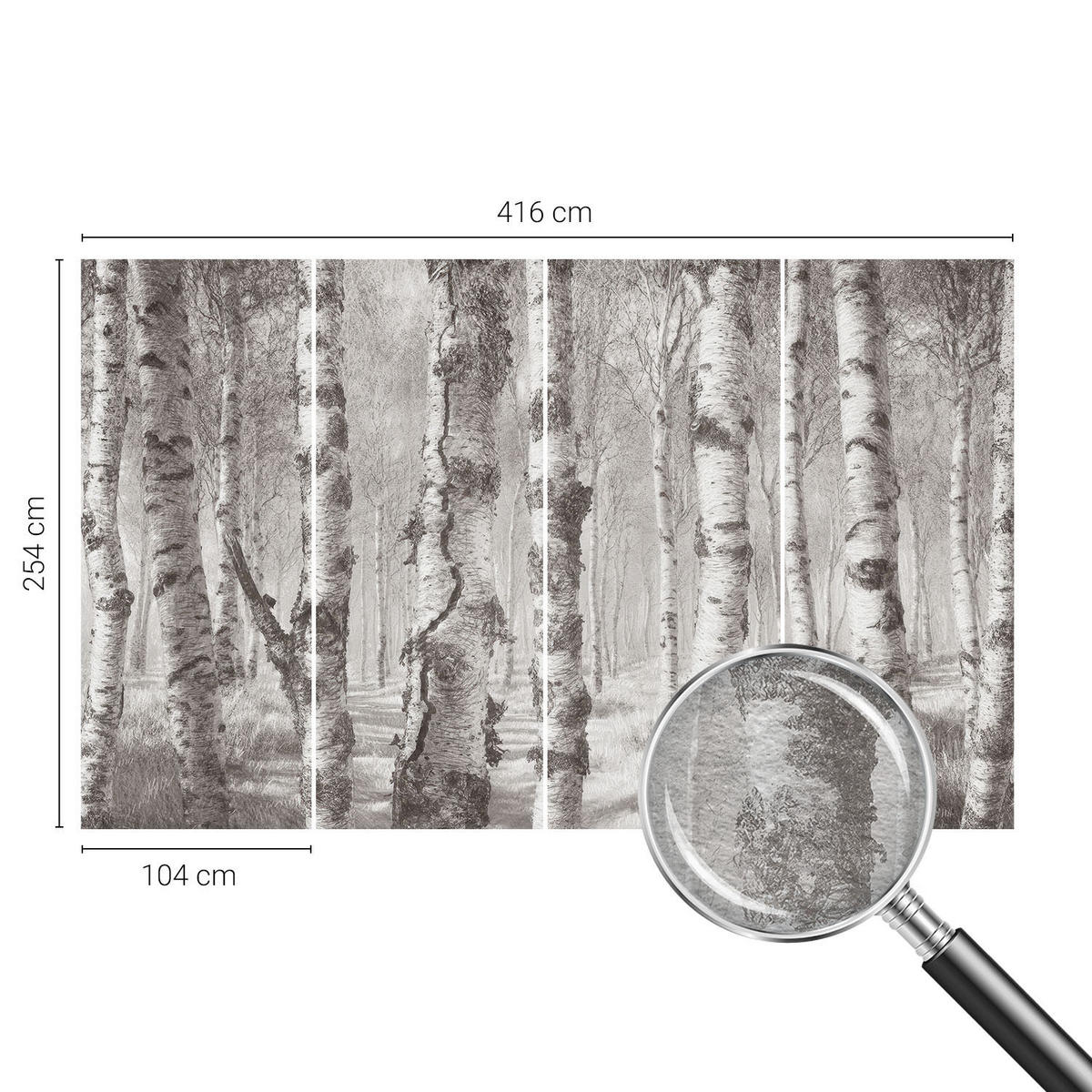 FOTOTAPETE 416x254 cm - Birkenwald - Schwarz, Textil (416/254cm) - Wallfluent