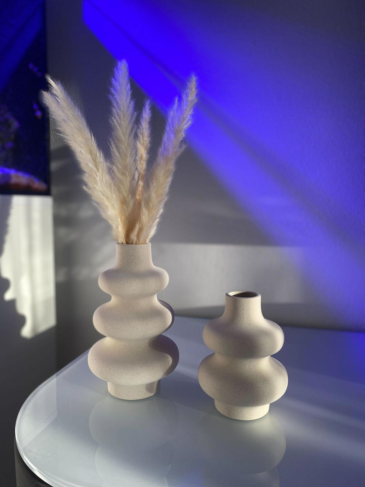 PAMPASGRAS Trockenblumen 30 Stück - Weiß, Naturmaterialien (5cm) - Intirilife