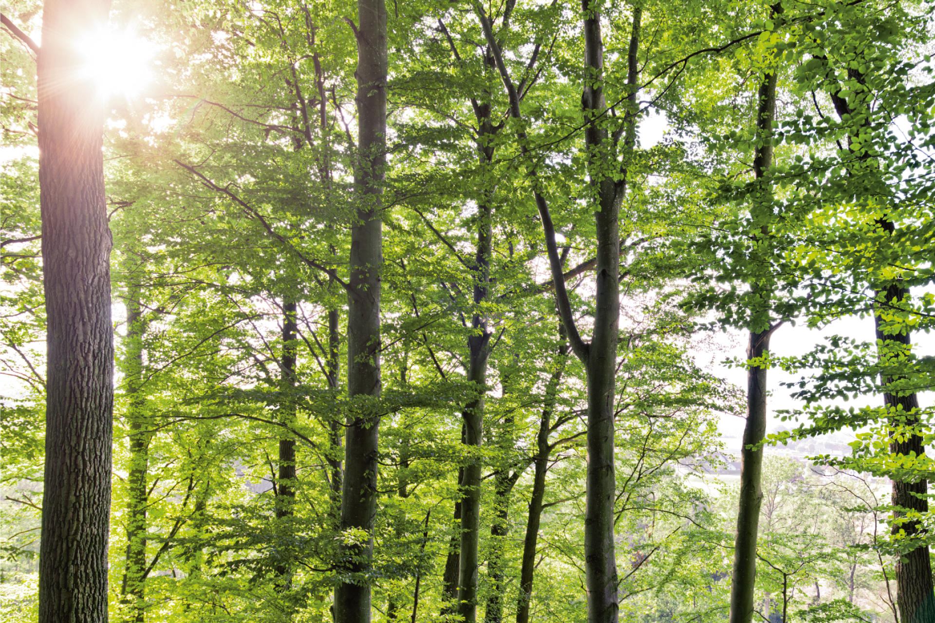 Team7 Produkte entdecken