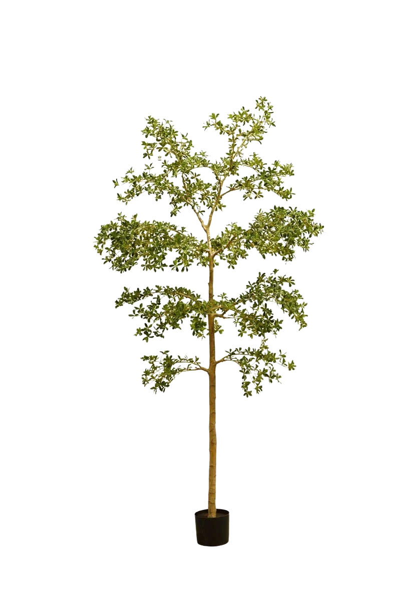 KUNSTBAUM Künstlicher schwarzer Olivenbaum - Finja 290 cm - Grün, Kunststoff (290cm) - Emerald