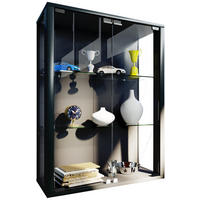 VITRINE Schwarz - Schwarz, Holzwerkstoff (60/80/25cm) - ebuy24