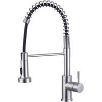 KÜCHENARMATUR mit Brause ausziehbar Edelstahl gebürstet 2 Modi 360° drehbar - Silberfarben, Metall (20/4/30cm)