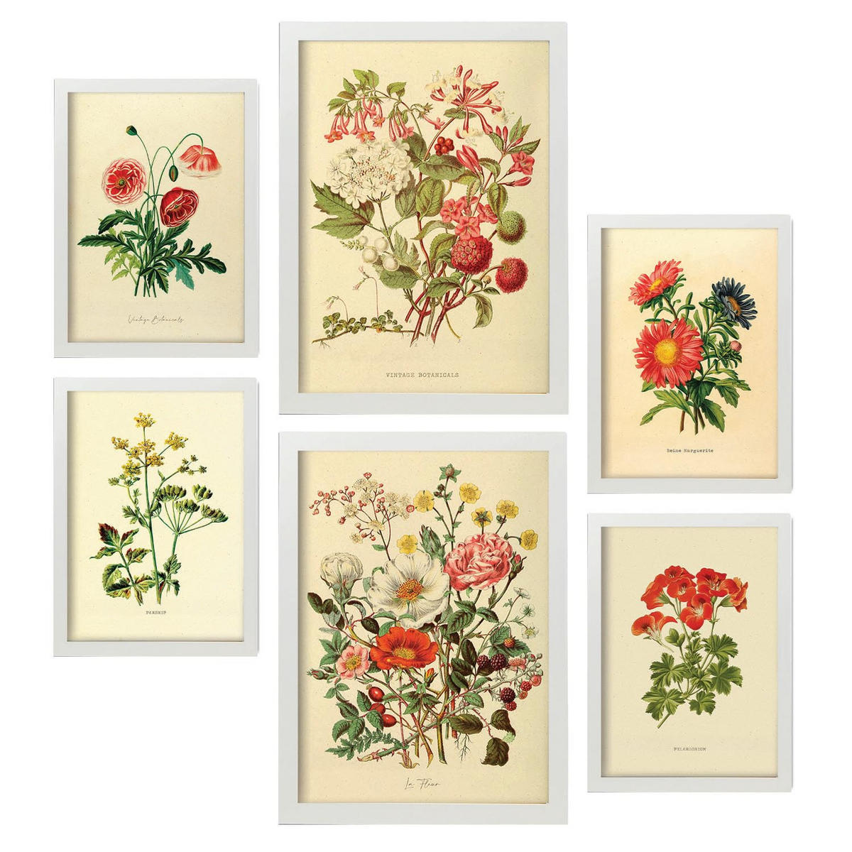 POSTER Set Mit 6 Blumensträuße 1 In Vintage A3 & A4 Weißer Rahmen - Weiß, Papier (29/3cm) - Nacnic