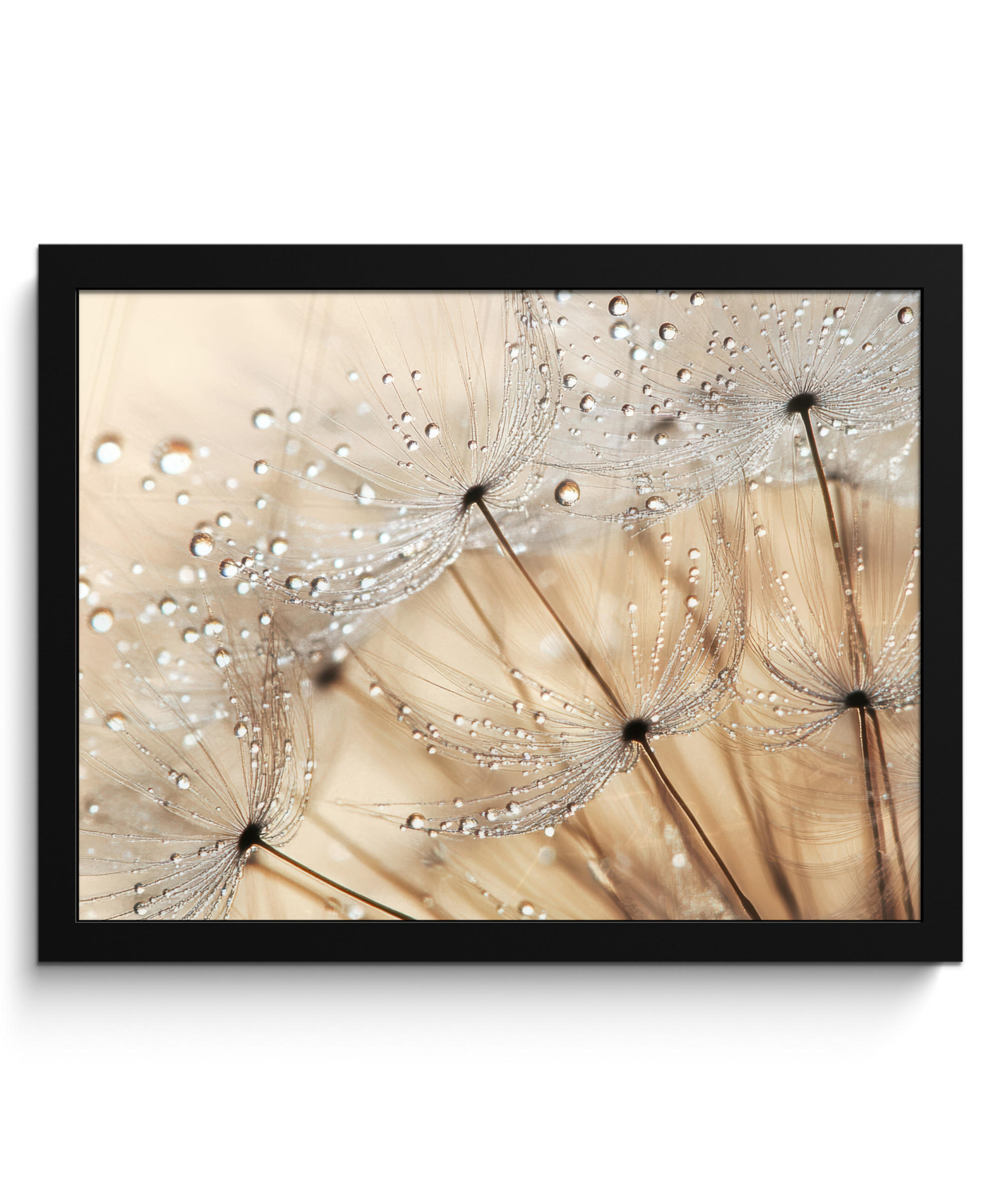 POSTER MIT RAHMENGERAHMTES BILD - Löwenzahn - Abstrakt - Natur - Beige - 40x30 cm - Braun, Papier (40/30cm) - MuchoWow