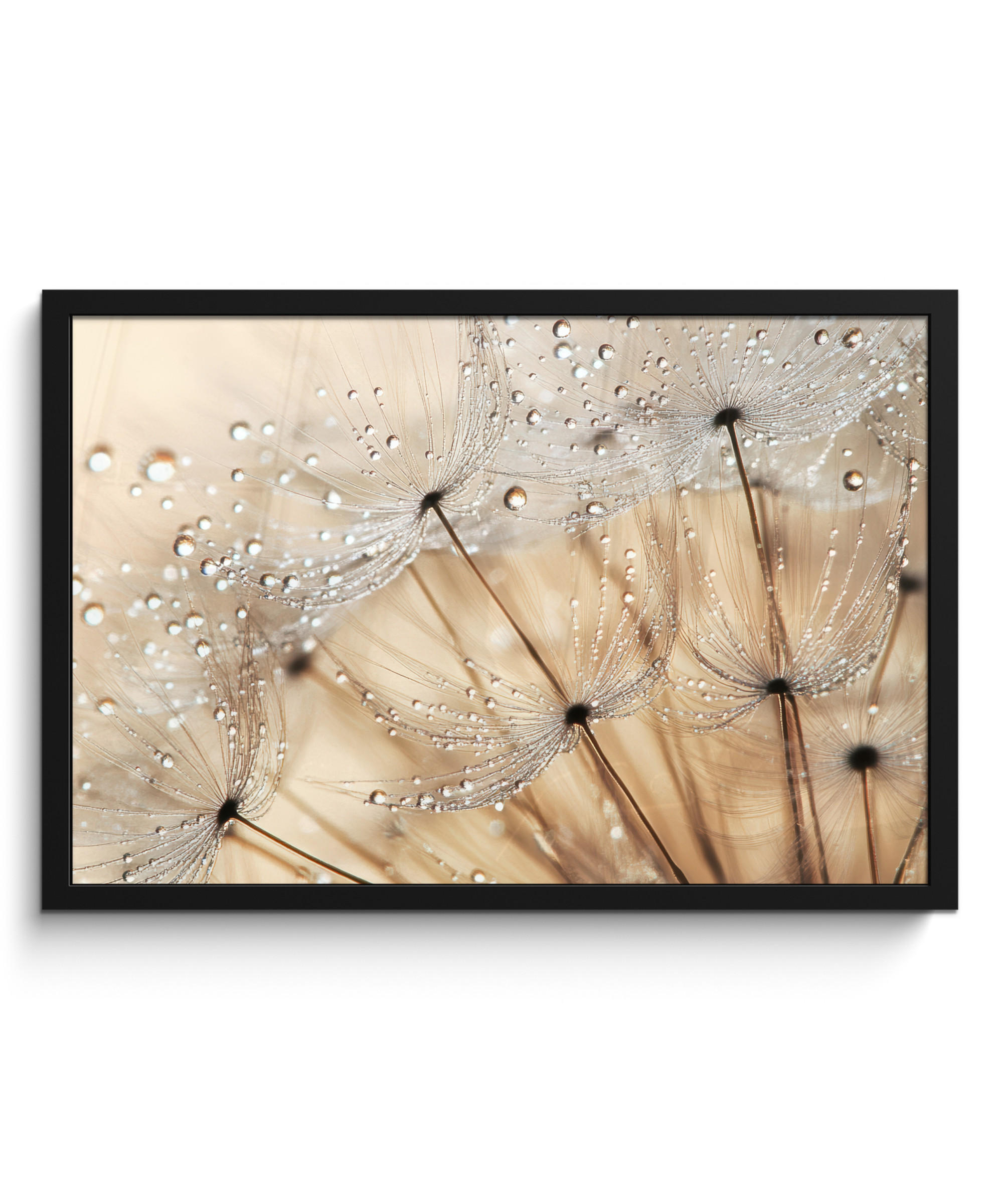 MuchoWow Poster Braun 60x40 cm