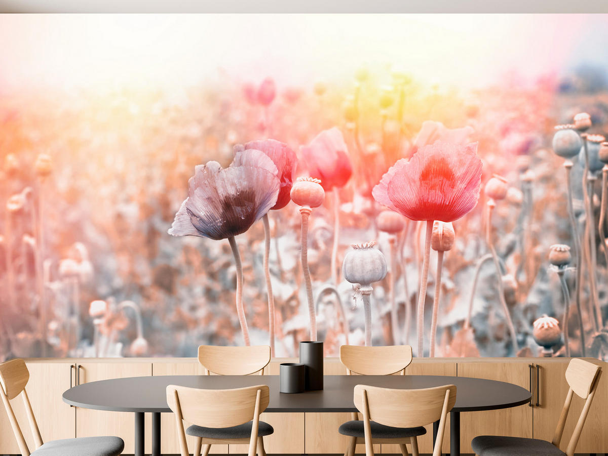 FOTOTAPETE für Wohnzimmer Mohnfeld Wiese Sonnenaufgang Natur 350x256 - Gelb/Rot, Papier (350/256cm) - Muralo