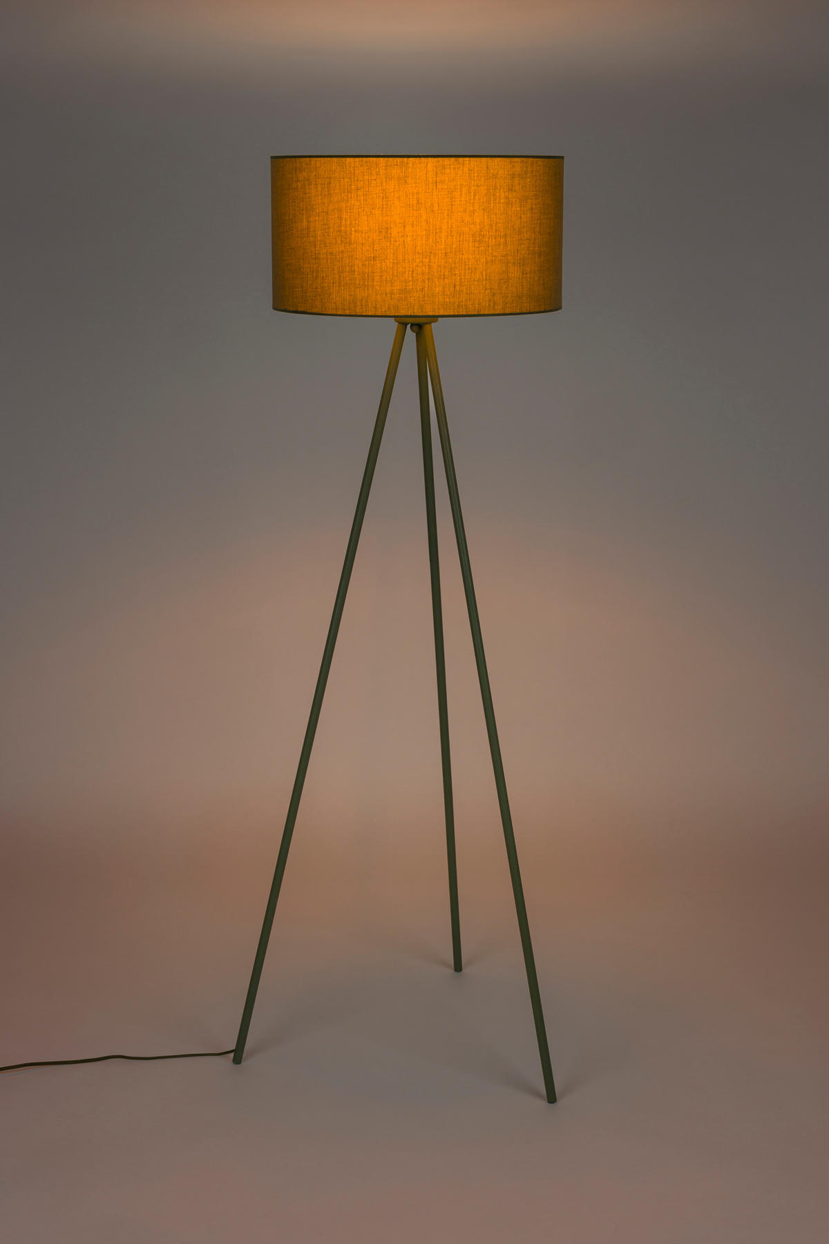 STEHLAMPE Susie - Grün - 45/45/146 cm - Grün, Metall (45/45/146cm)