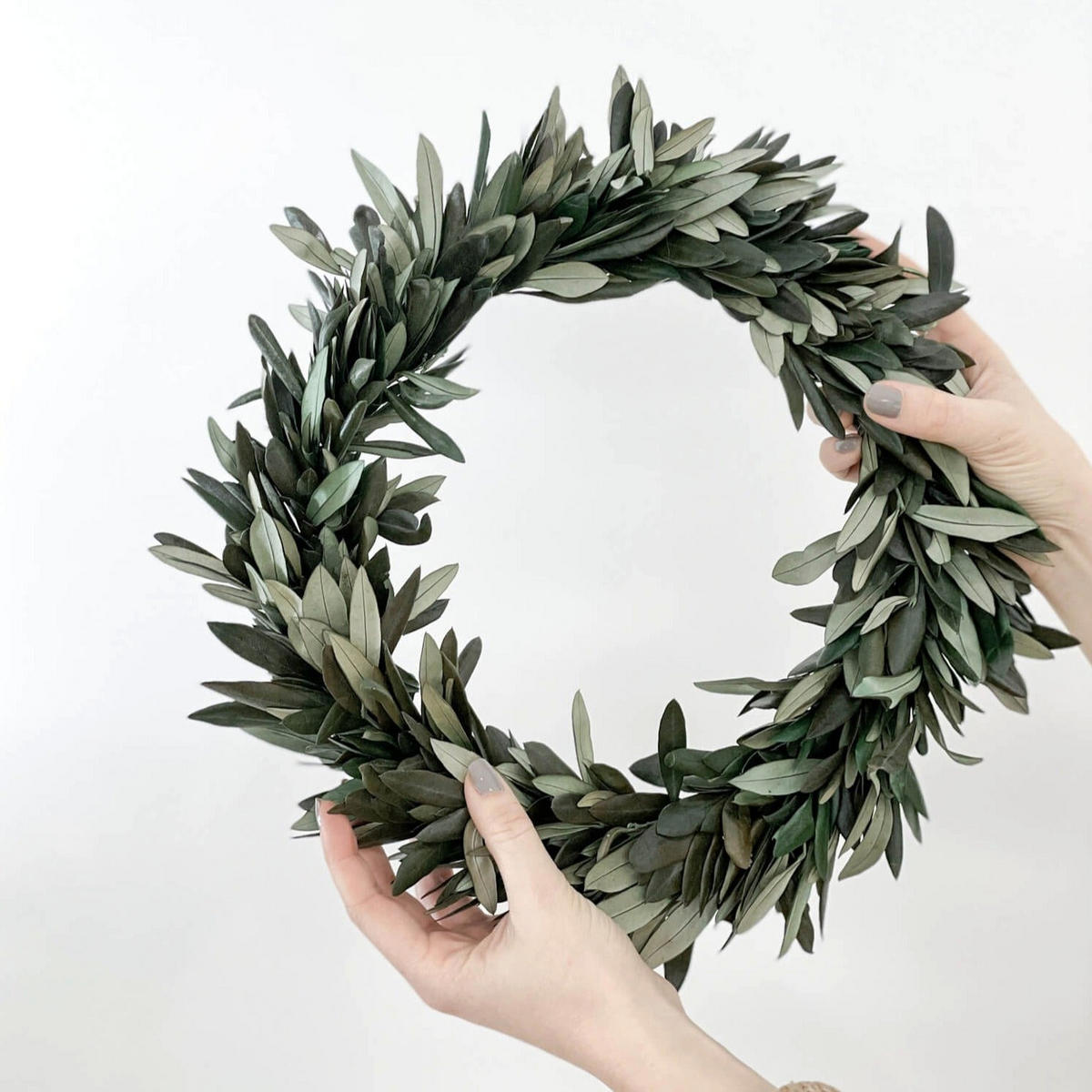 KRANZ aus konservierte Olivenzweigen - bis zu drei Bund in einem wundervollen Kranz - halb gebunden / grün / 30 cm - Grün, Naturmaterialien (30cm) - Lykke & You