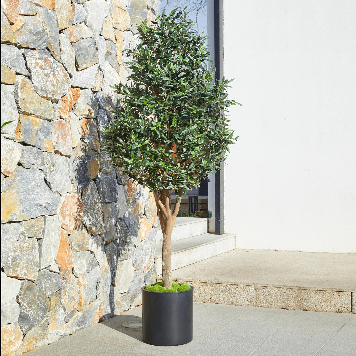 KUNSTBAUM Künstlicher Olivenbaum – Callistus 170 cm - Grün, Kunststoff (170cm) - aplanta