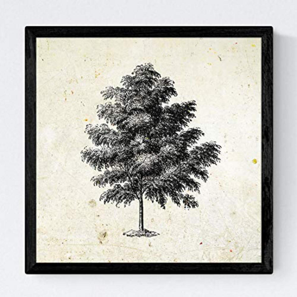 POSTER Set mit 4 Blättern der dünne Kruste Jahrgang Hintergrund 20x20cm Rahmenlos - Klar, Papier (20/3cm) - Nacnic