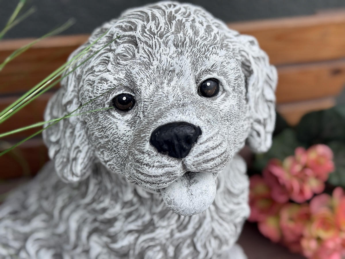 STEINFIGUR Labradoodle Charly groß frostfest – niedlicher Doodle-Welpe Gartendeko Steinguss - Grau, Stein (30/37/30cm) - stoneandstyle
