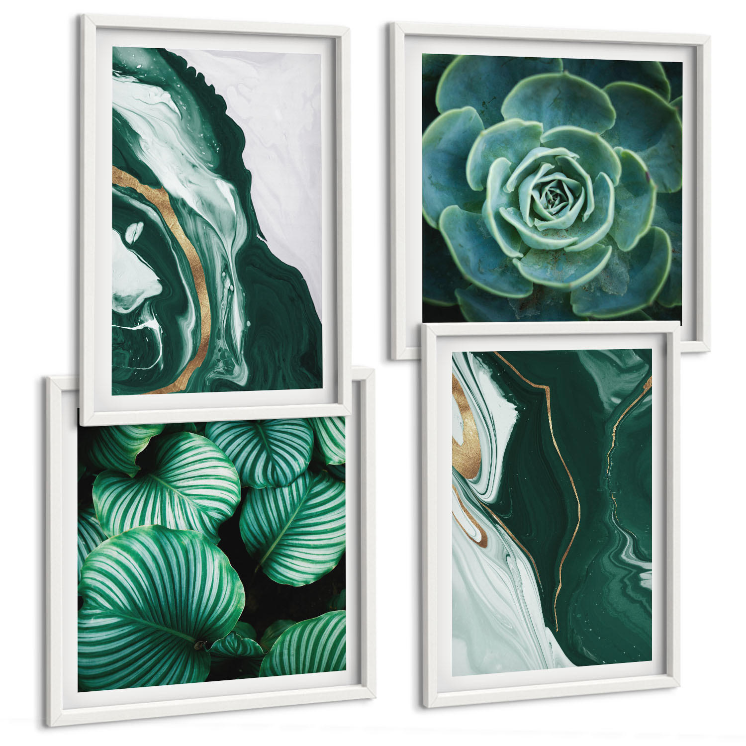 BILDER SET 4er Set - 50x50 cm & 40x60 cm Weißer Rahmen - Abstrakte Muster von Sukkulentenblättern - Weiß, Kunststoff (50/50cm) - TULUP
