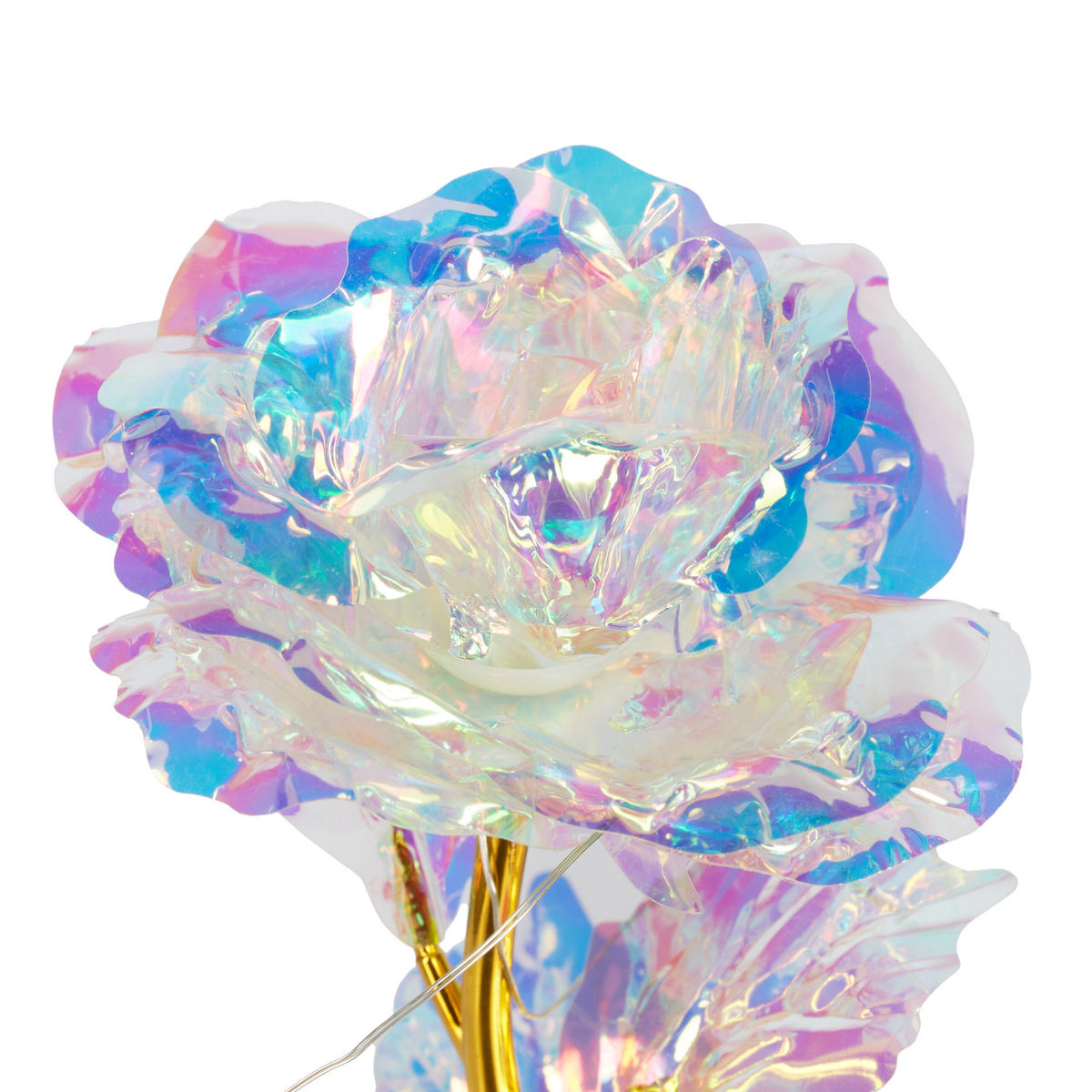 EWIGE Rose - Multicolor, Glas/Holz (11/22/11cm) - Relaxdays