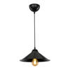 HÄNGELEUCHTE Hereford - Schwarz, Kunststoff (26/26/48cm) - lux.pro