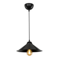 HÄNGELEUCHTE Hereford - Schwarz, Kunststoff (26/26/48cm) - lux.pro