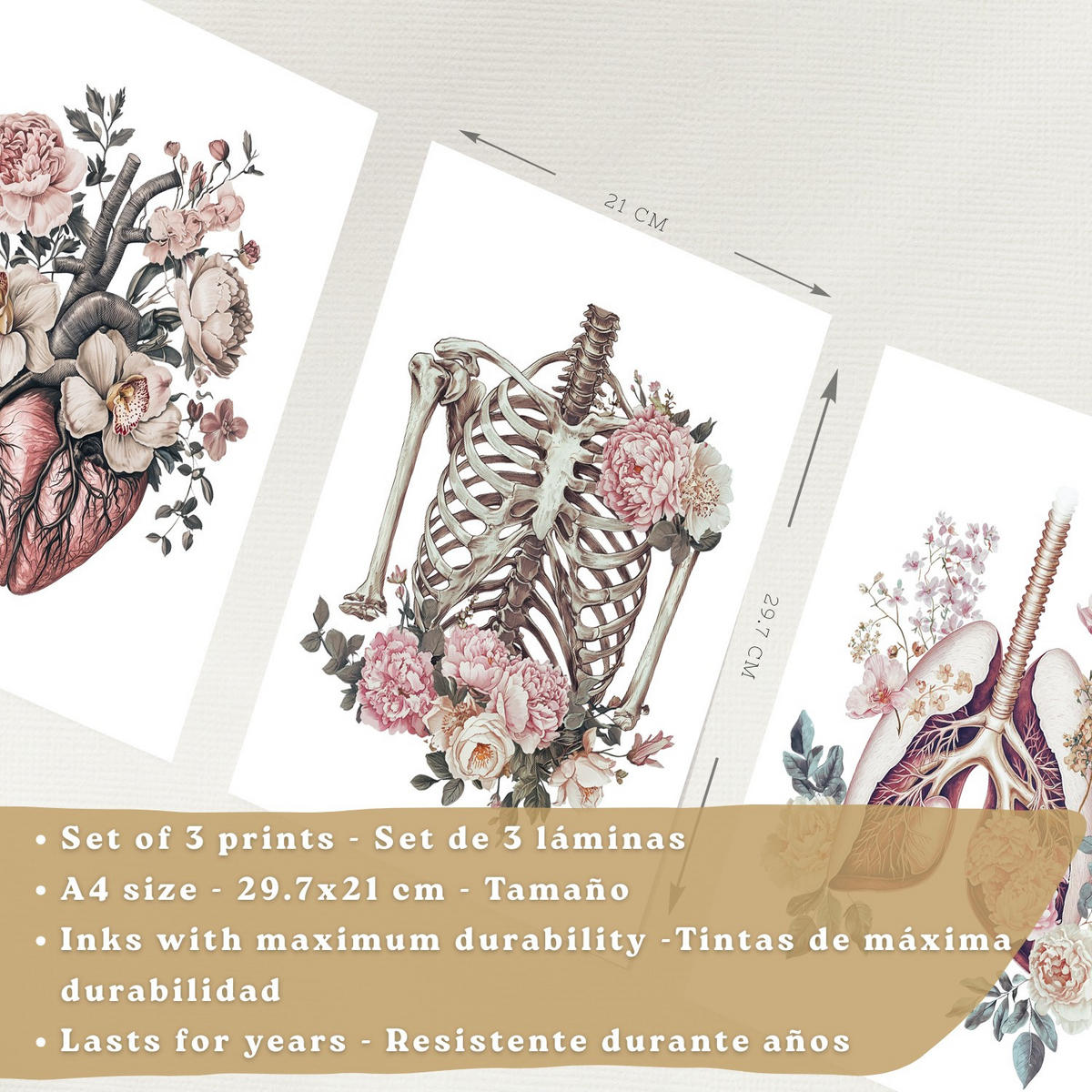 POSTER Set aus 3 Anatomie Florale Vintage Drucke und Wandbilder mit Herz Brustkorb und Lungen Detaillierter Illustrationsstil Größe Weißer Rahmen A4 - Weiß, Papier (21/29.7/3cm) - Nacnic