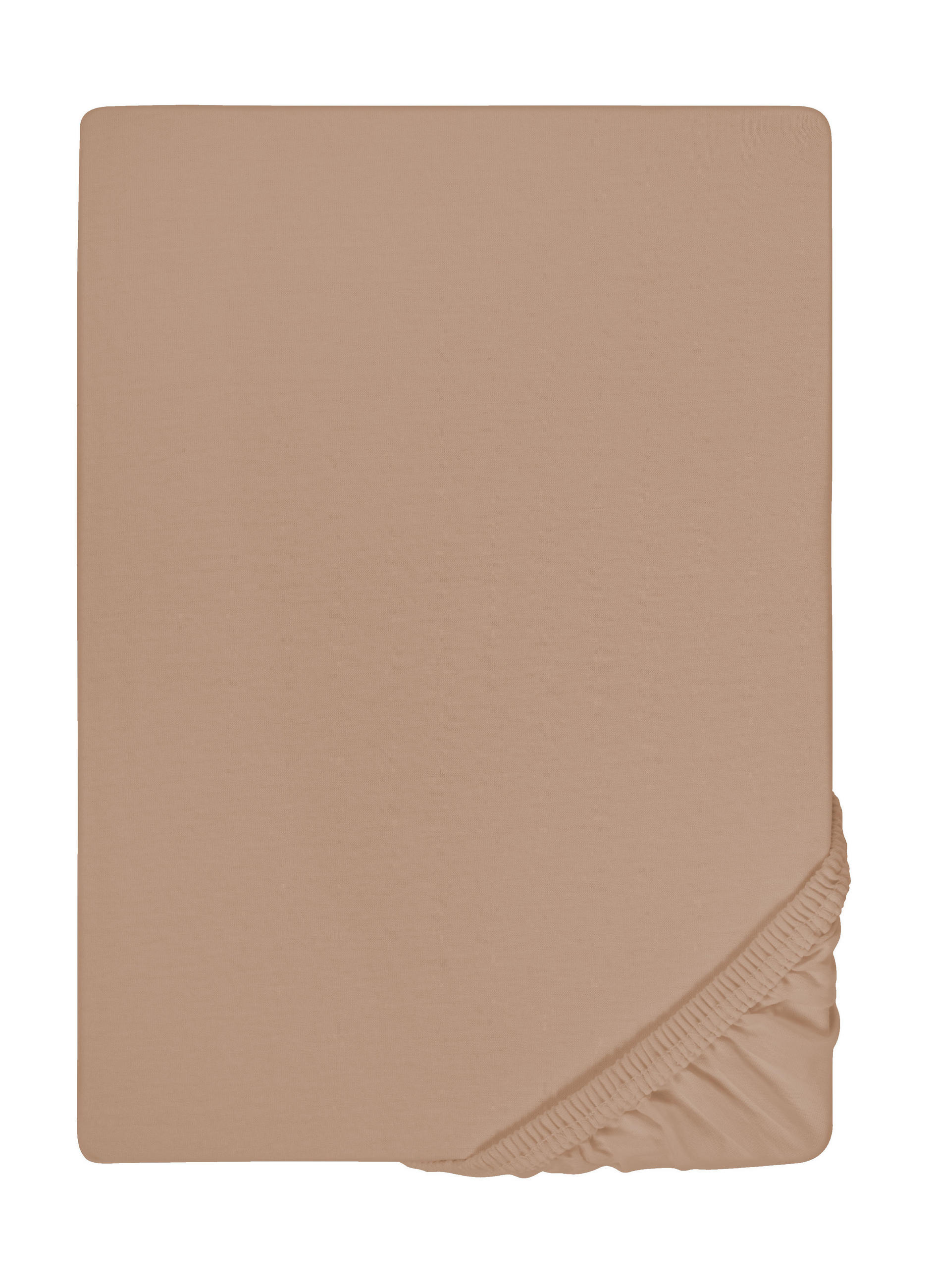 biberna Spannbetttuch Cappuccino 100x220 cm