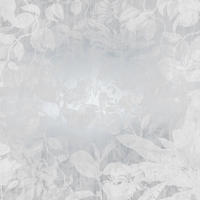 FOTOTAPETE Blumen 400 x 280 cm - Silberfarben, Papier (400/280cm) - Sanders & Sanders