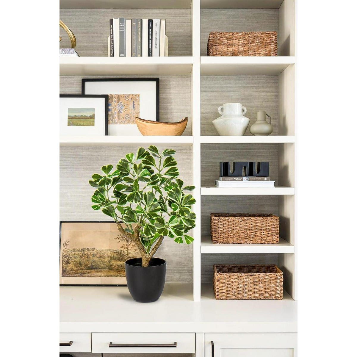 KUNSTPFLANZE Ficus 43 cm Grün & Weiß im schwarzen Topf - Multicolor, Kunststoff (43cm)