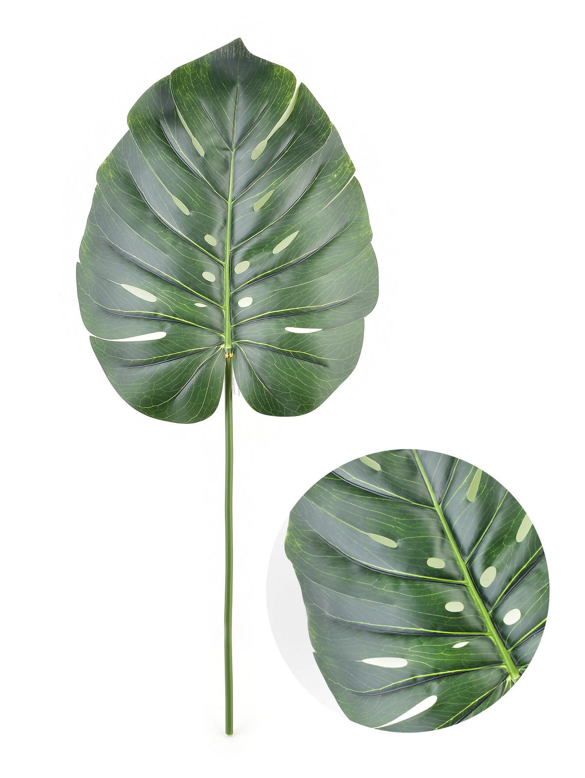 KUNSTBLUME Viridiis Grün 77/36/1 cm Kunstoff - Grün, Kunststoff (1cm) - Mondex