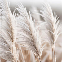 GLASBILD 50x50 cm Natur Pampasgras - Beige, Glas (50/50cm) - artissimo