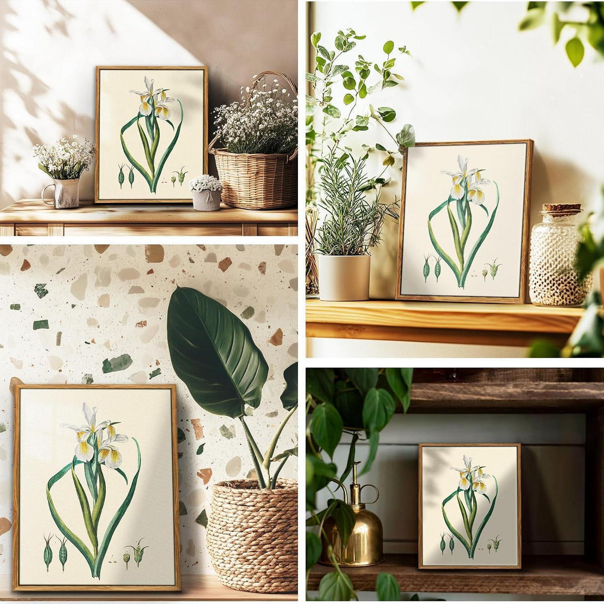 LEINWANDBILD mit Rahmen Iris Botanisch 20 x 25 cm - Multicolor, Holz (20/0.5cm)