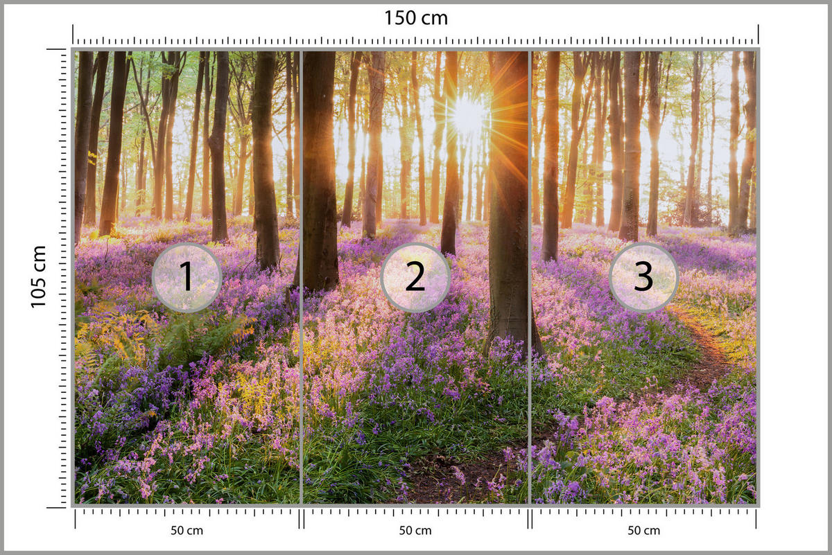 FOTOTAPETA Les Kvety Východ Slnka Krajina 3D 150 x 105 cm - oranžová/hnedá, papier (150/105cm) - Muralo