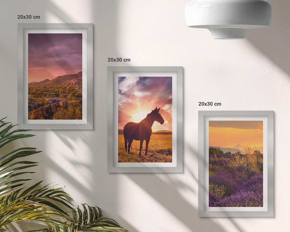 WANDBILDER 3er Set - 20x30 cm Silberner Rahmen - Berglandschaft mit einem Pferd - Silberfarben, Kunststoff (20/30cm) - ArtPrintCave
