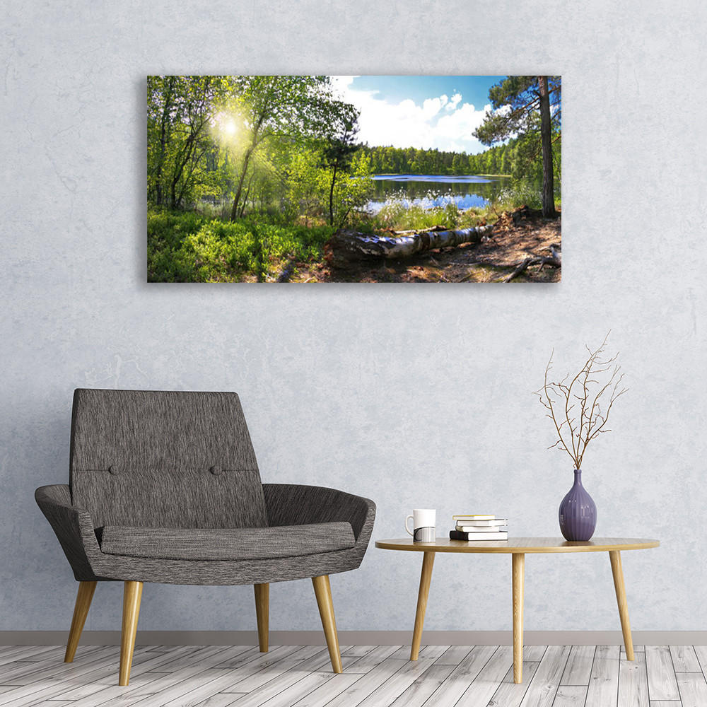 LEINWANDBILD 120x60 cm See im Wald - Hellblau/Grau, Textil (120/4cm) - TULUP