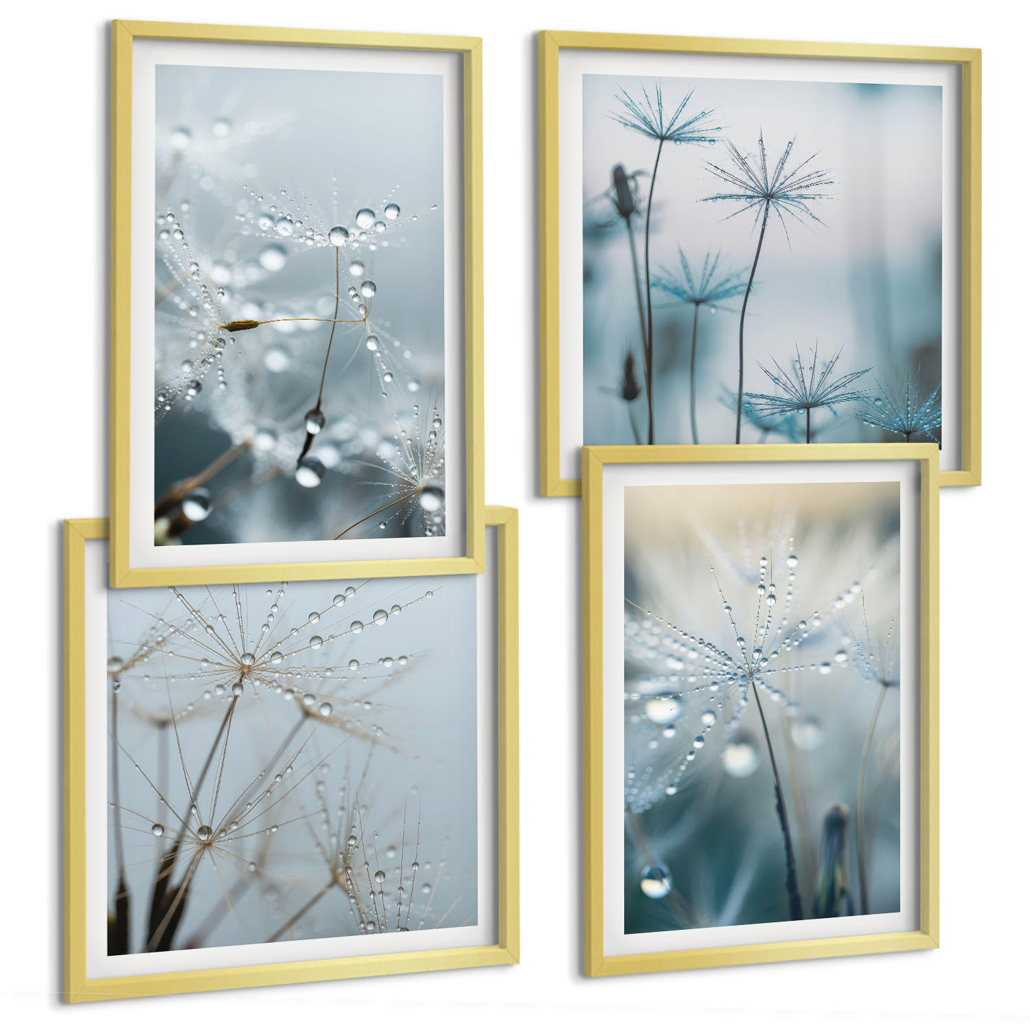 BILDER SET 4er Set - 50x50 cm & 40x60 cm Goldrahmen - Tautropfen auf Löwenzahn - Goldfarben, Kunststoff (50/50cm) - TULUP