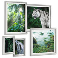 BILDER SET 5er Set - 50x50 cm & 20x30 cm & 40x60 cm Silberner Rahmen - Blätter und Blüten in verschiedenen Farben - Silberfarben, Kunststoff (40/60cm) - TULUP