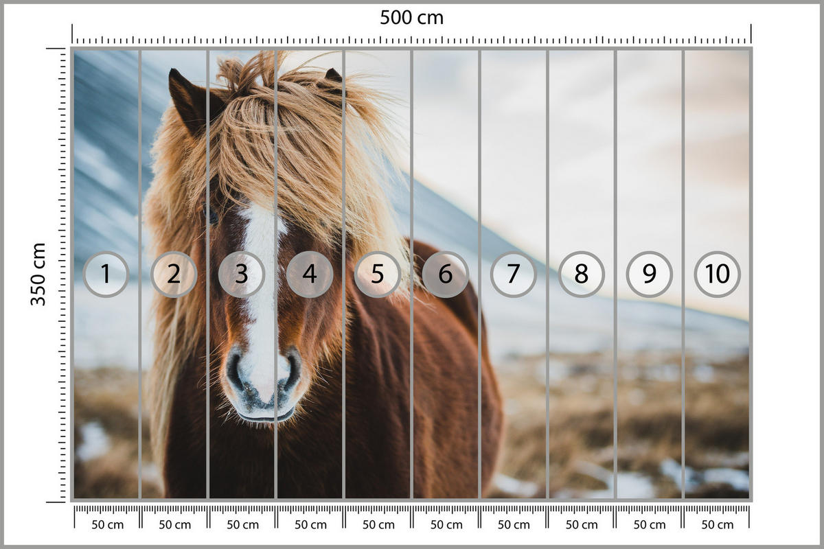 FOTOTAPETA Pre Spálňu Islandský Divoký Kôň Portrét Lúka 500 x 350 cm - hnedá/sivá, papier (500/350cm) - Muralo
