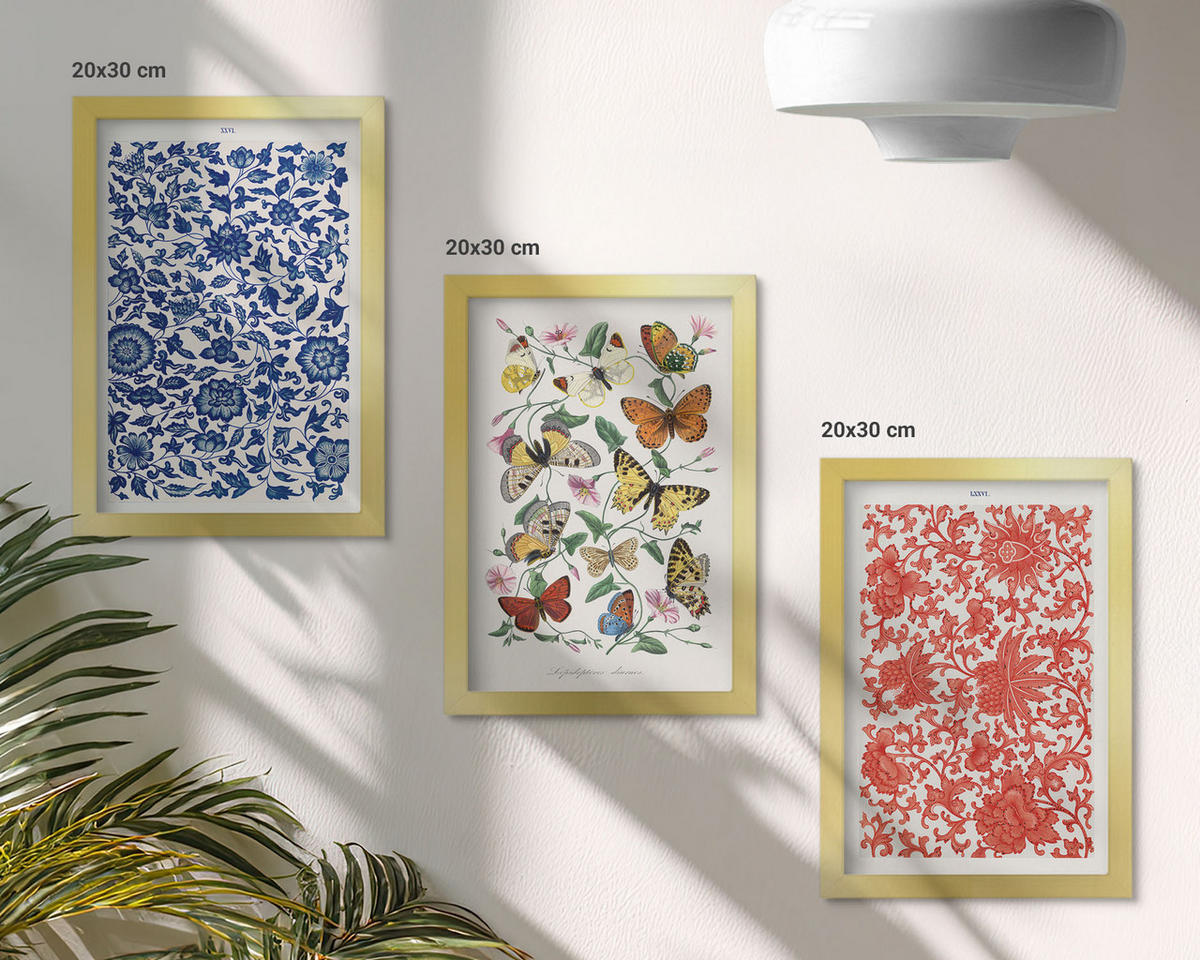 BILDER SET 3er Set - 20x30 cm Goldrahmen - Vintage-Blumen-Schmetterlings-Ornamente - Goldfarben, Kunststoff (20/30cm) - TULUP