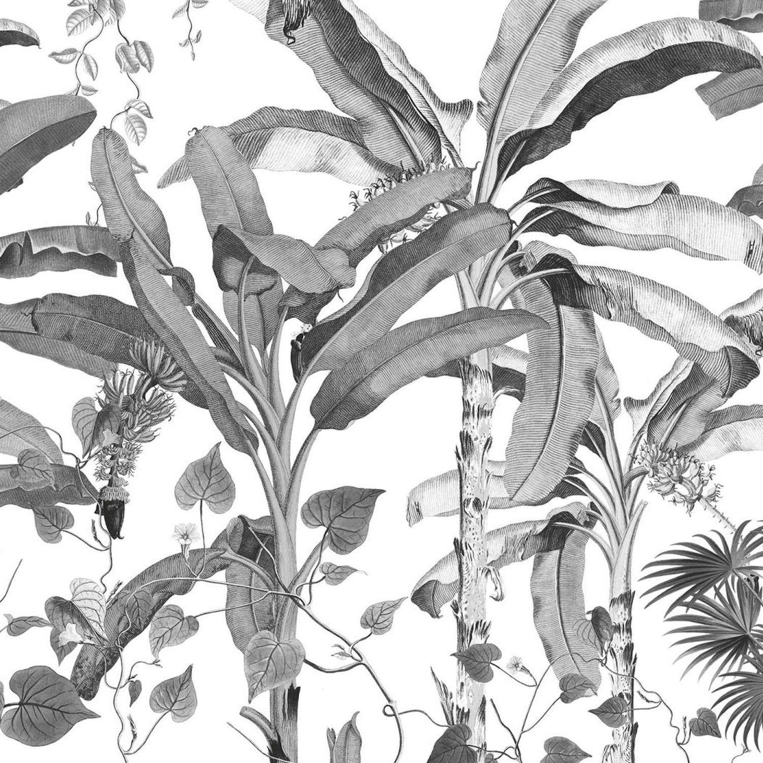 FOTOTAPETE Dschungel 400 x 280 cm - Schwarz, Papier (400/280cm) - Sanders & Sanders