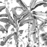 FOTOTAPETE Dschungel 400 x 280 cm - Schwarz, Papier (400/280cm) - Sanders & Sanders