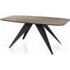 ESSTISCH Foster rechteckig ausziehbar, Dunkelgrauer Chicago Beton 160-198/80/76 cm - Dunkelgrau/Schwarz, Holzwerkstoff/Metall (160/80/76cm) - WFL GROUP